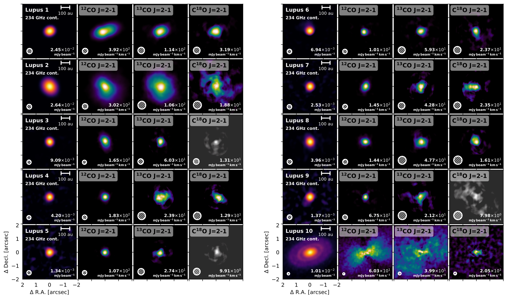 AGE‑PRO III mosaic